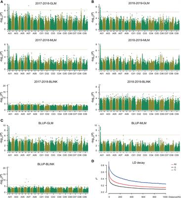 Genome-wide association study reveals a GLYCOGEN SYNTHASE KINASE 3 gene regulating plant height in Brassica napus